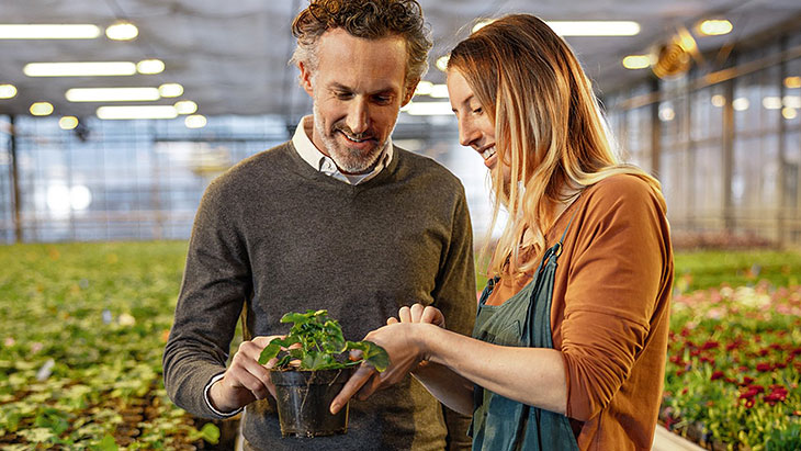 lorem ipsum dolor sit