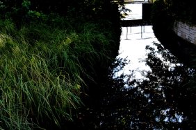 schlosspark-charlottenburg_14876459340_o.jpg