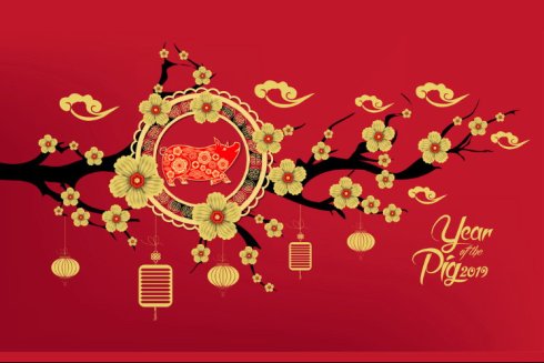 20190101_Happy-Chinese-New-Year.jpg