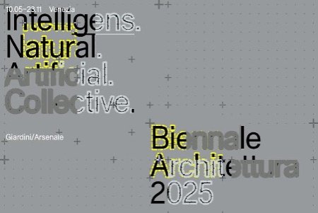 20250729_Venice_Biennale2025.jpg