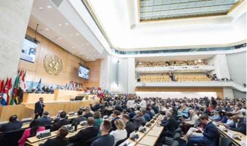 20260702_UN_ILO_Elevates_Social.jpg