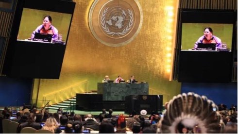 20260702_UN_UNPFII.jpg