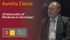 Interviews AMB DE_Aureliu-Ciocoi.jpg