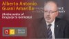 Interviews AMB DE_Alberto-Antonio-Guani-Amarilla-2.jpg