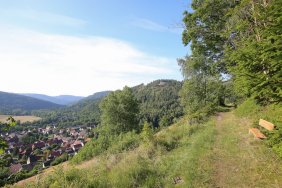STML0650.jpg
