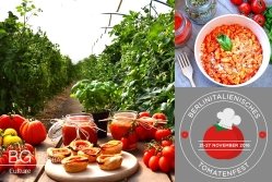 20161111_italia.jpg