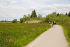 115.jpg