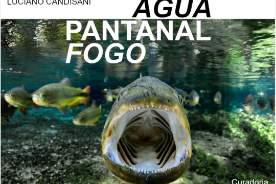 20250827_Pantanal_Fogo.png