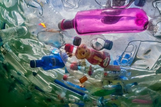20190206_Plastic in the Environment.jpg