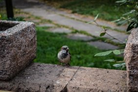 berlin-marzahn_14866147259_o.jpg