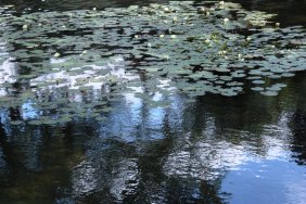 tiergarten_14844818500_o.jpg