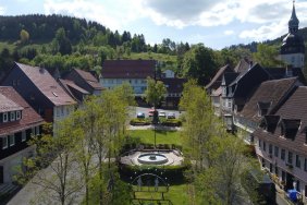 DJI_0310.jpg