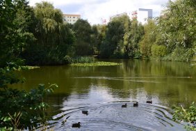 wuhlebecken_14867161147_o.jpg