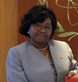 Ambassador_Austria_-_Angola.jpg