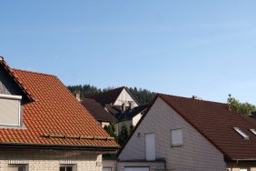 HistorischesGrunetanne_6.jpg