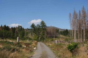 Harzandvillagesaround_1 (1).jpg