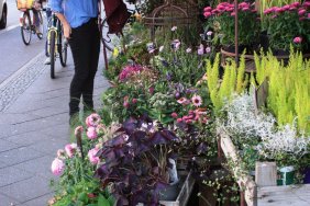 flower-shop_14977445292_o.jpg