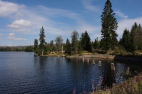 Harzandvillagesaround (1).jpg