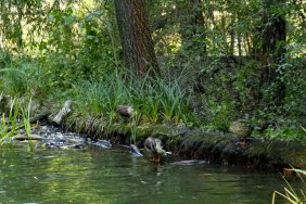 volkspark-friedrichshain_15256381852_o.jpg