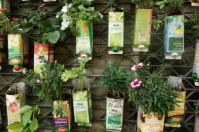 selfmade-garden_15050586561_o.jpg